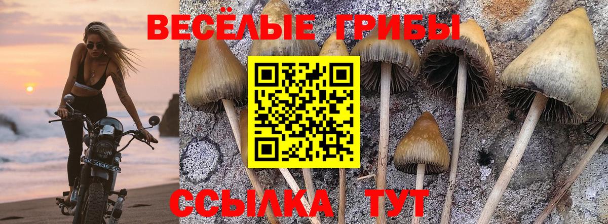 Псилоцибиновые грибы Psilocybine cubensis  Галлюциногенные грибы Magic Shrooms  как найти наркотики  Вход с VPN  Лысьва 